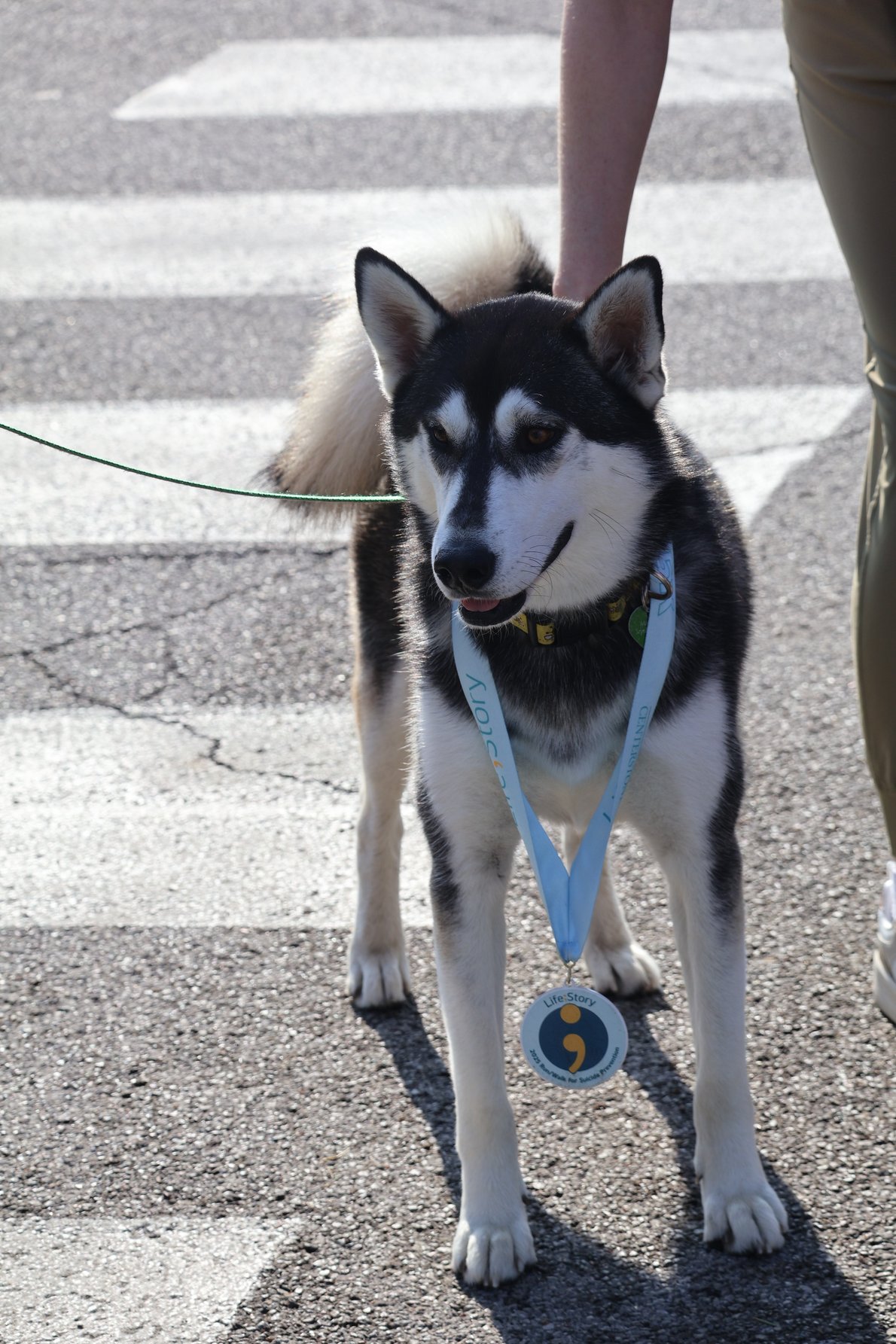 life-story-5k-ray-fosse-park-marion-southern-illinois
