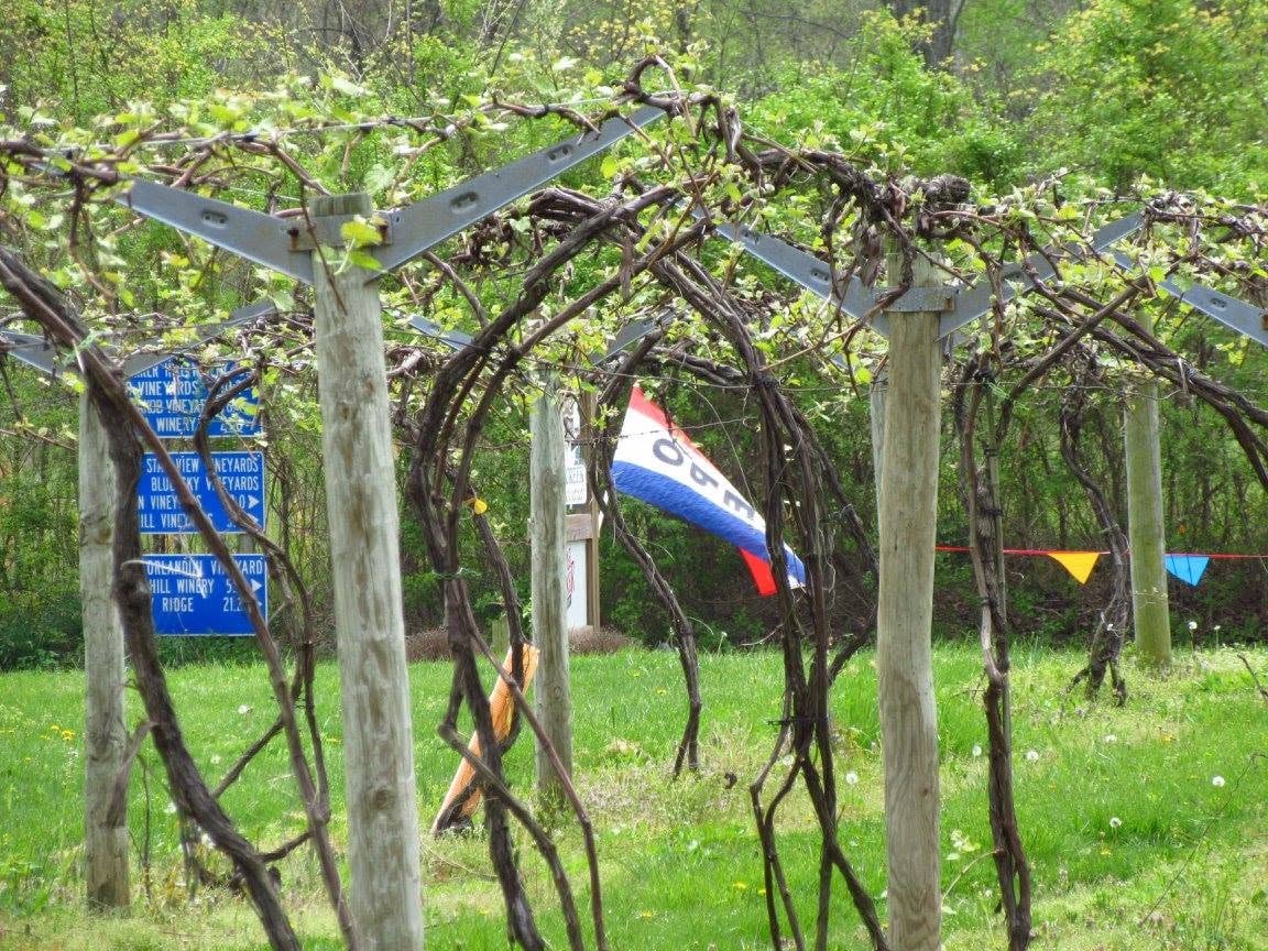 winery-tours-southern-illinois