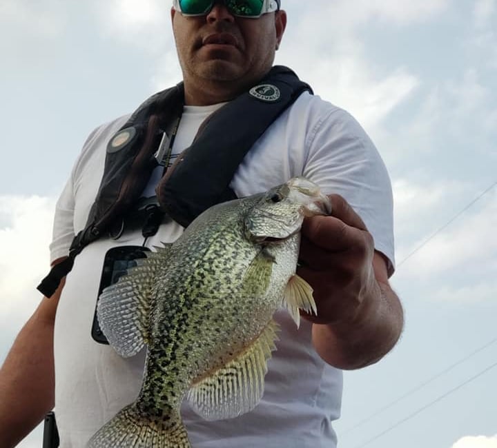 crappie-addiction-guide-service-sean-hawkins-lake-of-egypt-marion-illinois
