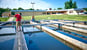 little-grassy-fish-hatchery-net-makanda-illinois