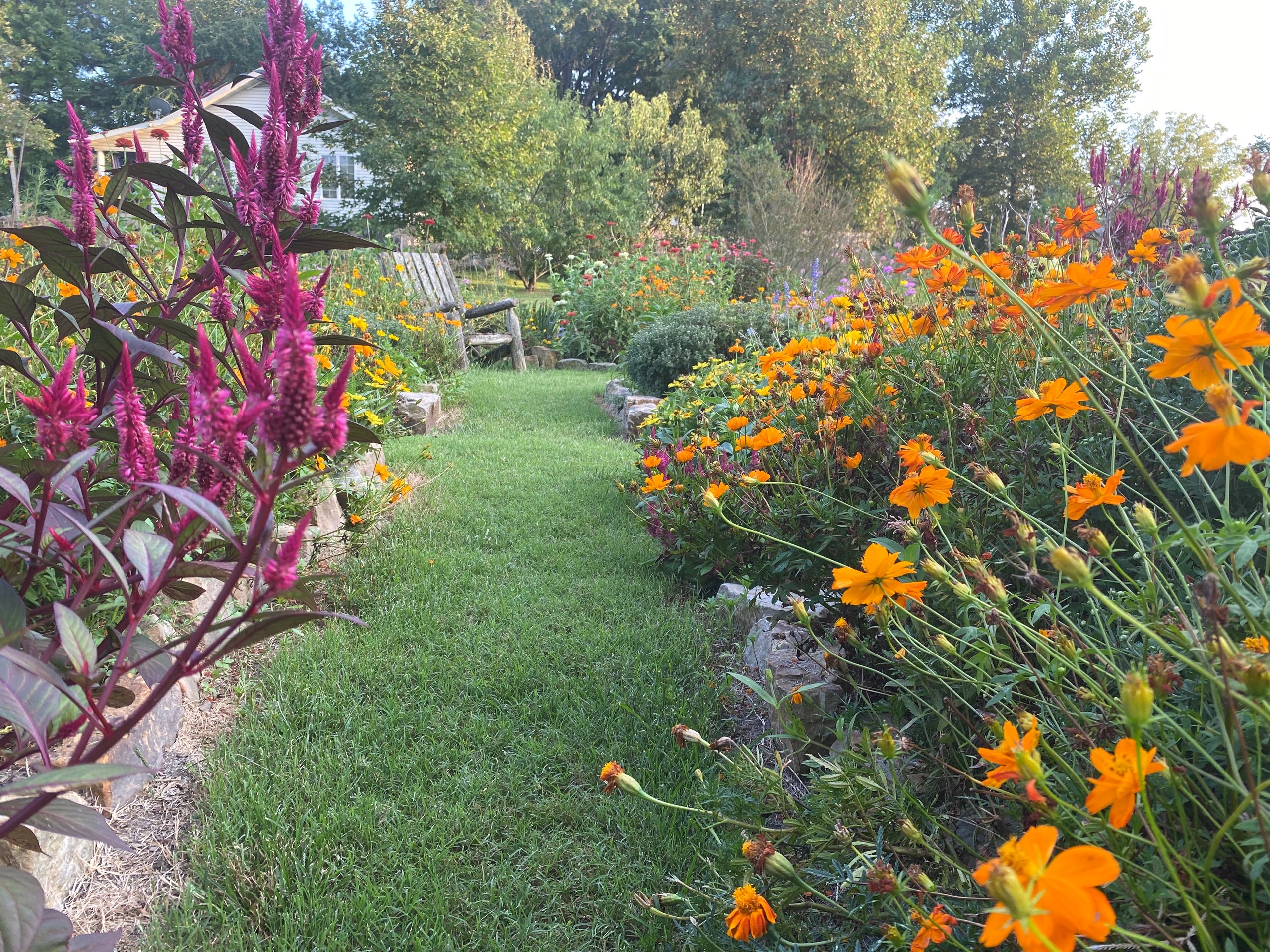 mandala-gardens-garden-path-marion-illinois