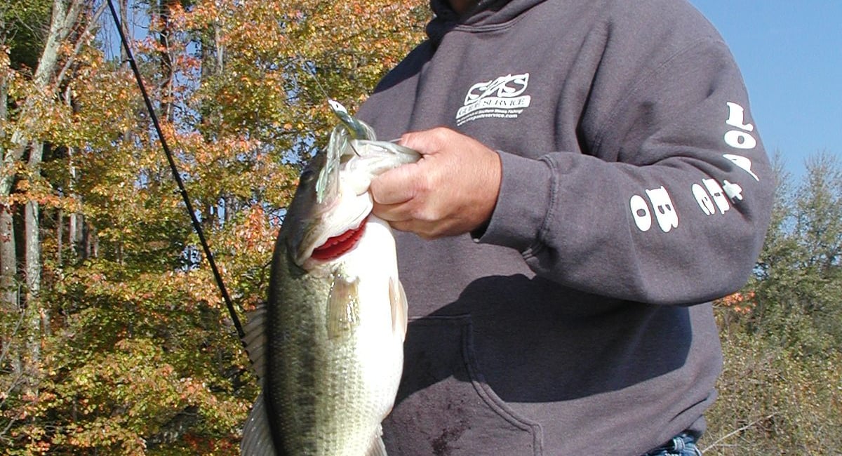 sns-guide-service-matt-strobel-marion-illinois