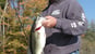 sns-guide-service-matt-strobel-marion-illinois