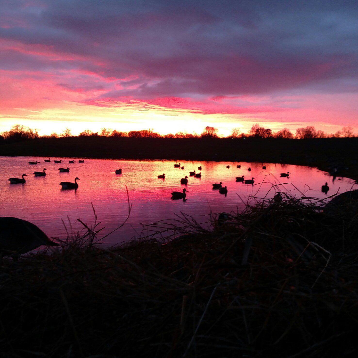 pikes-hunting-club-sunset-marion-illinois