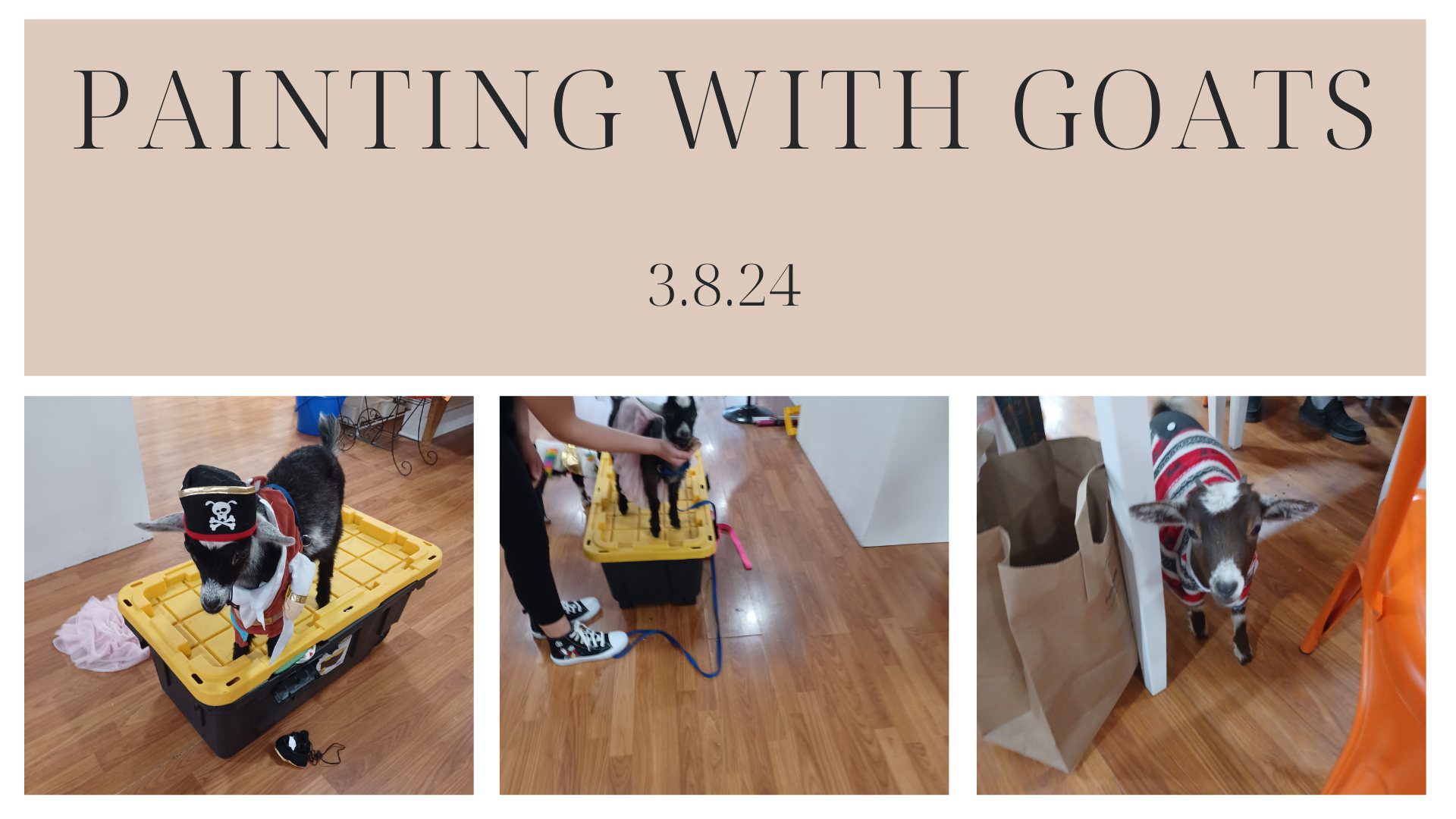 goat-painting-party-fish-tales-potter-and-cafe-herrin-illinois