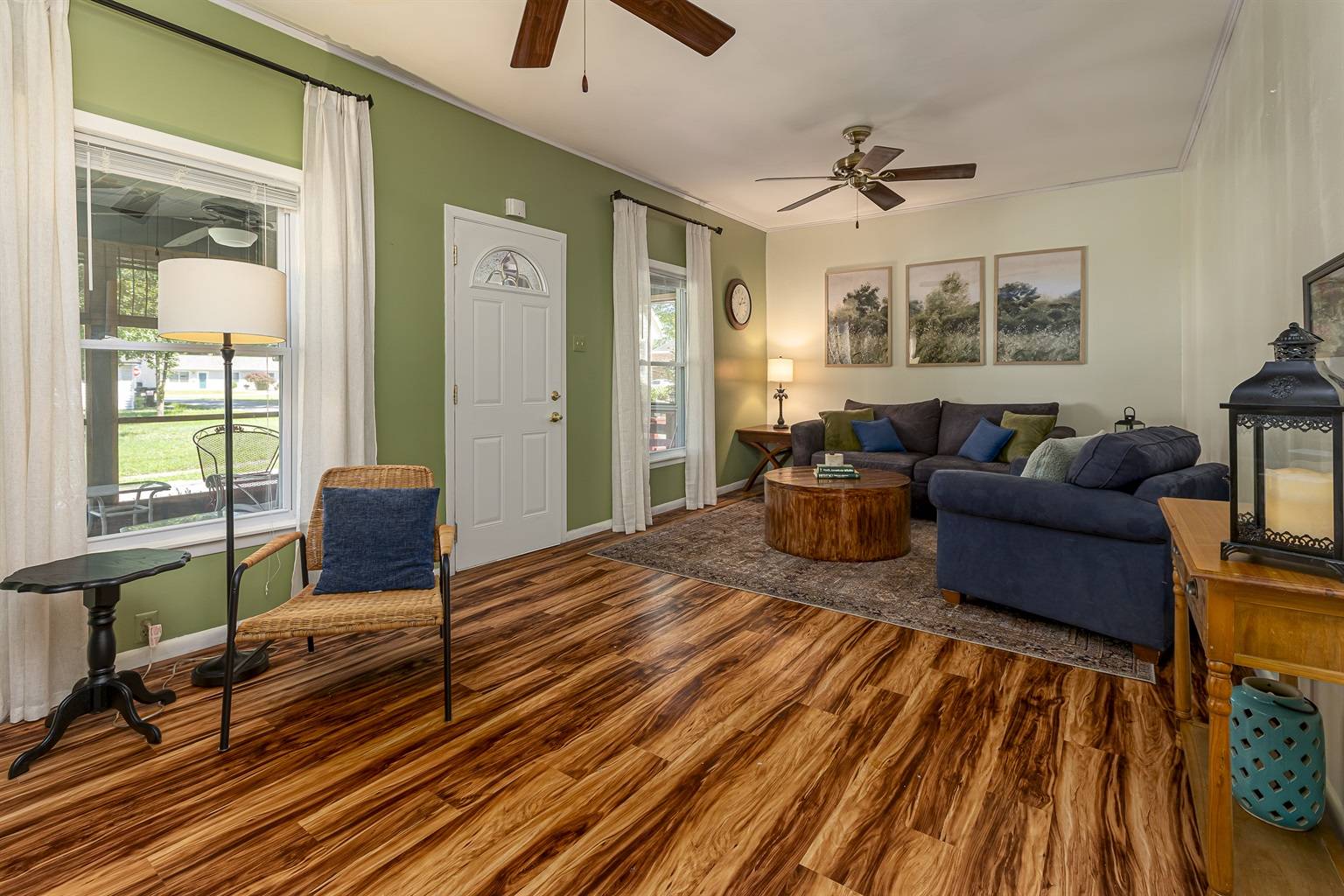 color-me-home-living-room-marion-illinois