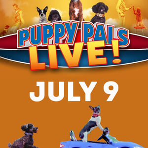 Puppy-pals-live-marion-il