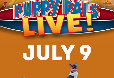 Puppy-pals-live-marion-il