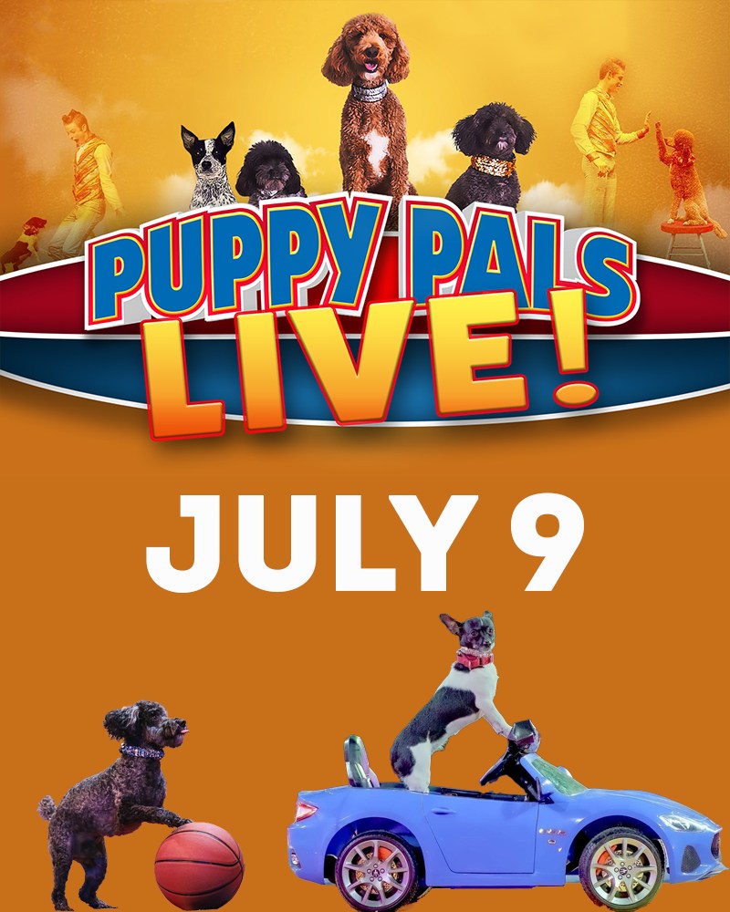 Puppy-pals-live-marion-il