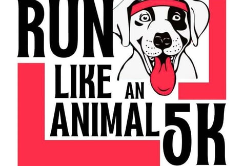 run-like-an-animal-5k-harmony-trail-crab-orchard-national-wildlife-refuge-marion-illinois