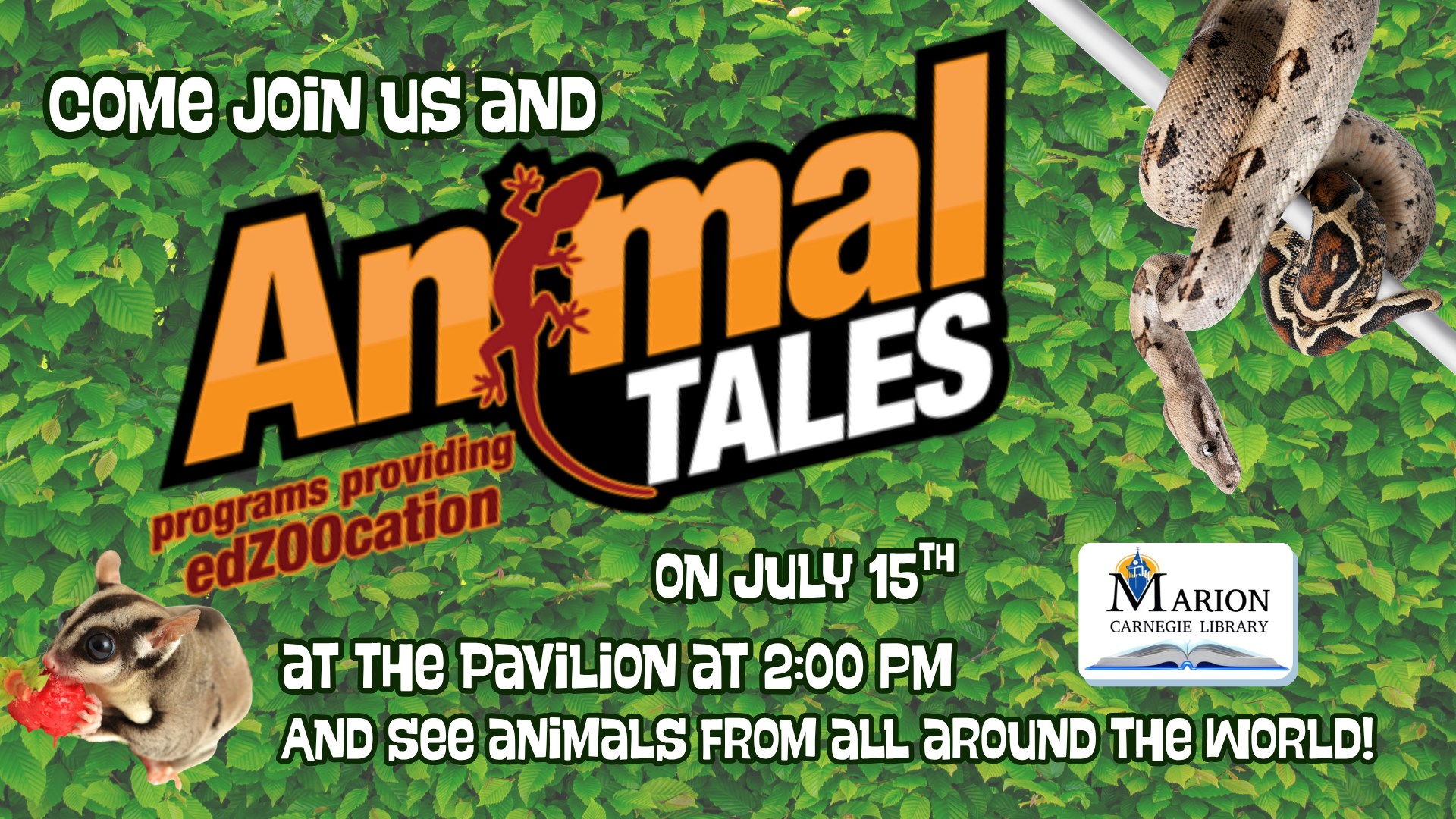 visit-animals-tales-marion-illinois