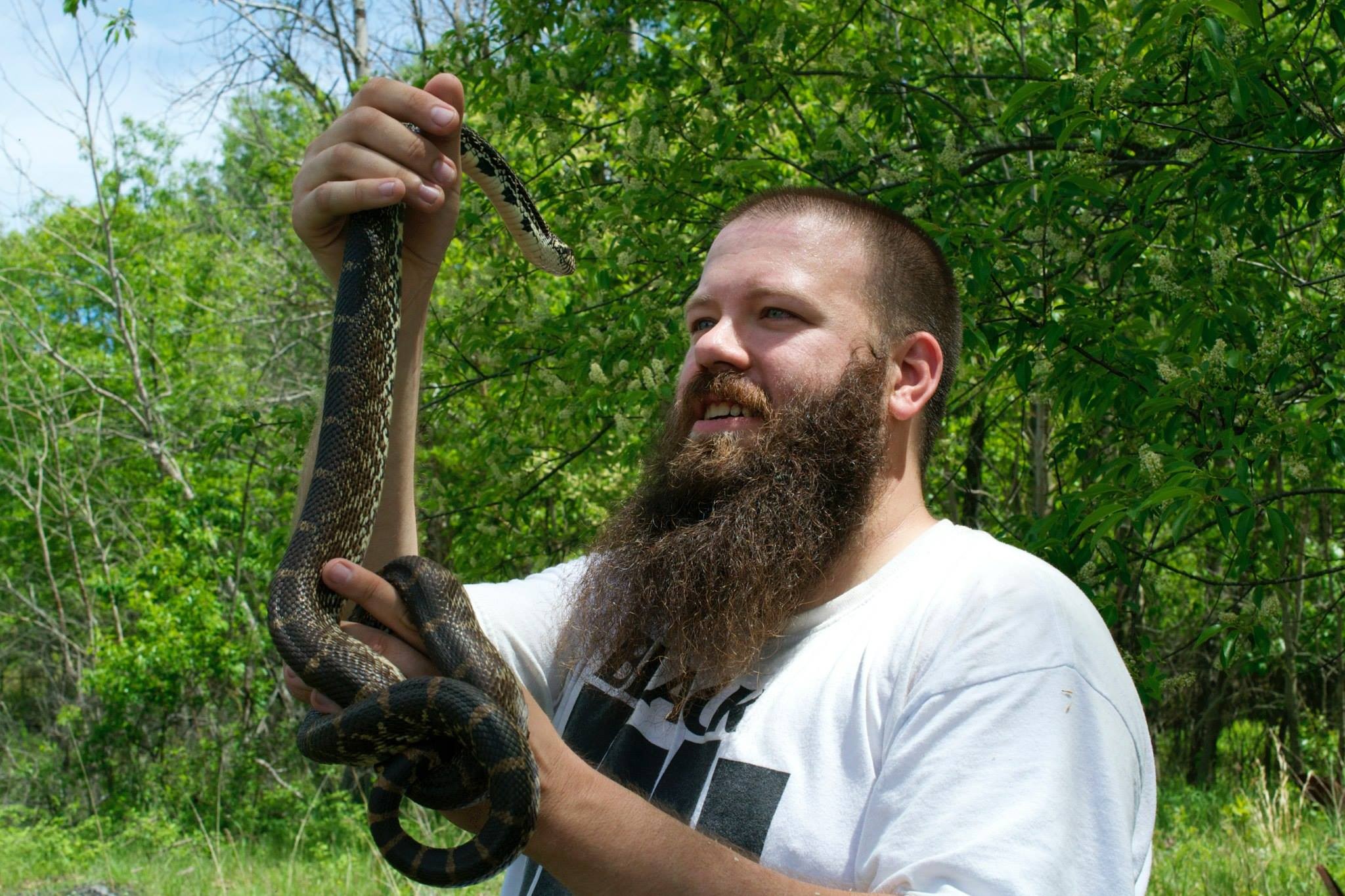 visit-snakes-and-reptiles-of-southern-illinois