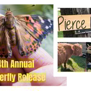 visit-butterfly-release-illinois
