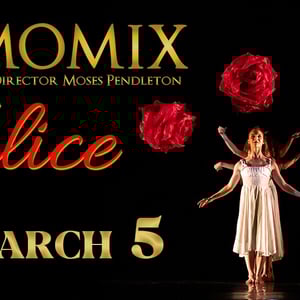 visit-momix-alice