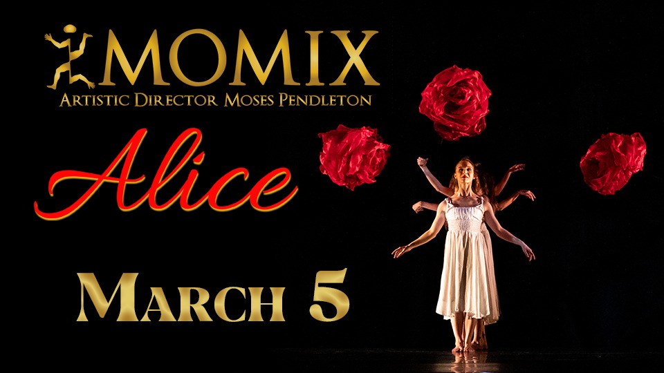 visit-momix-alice