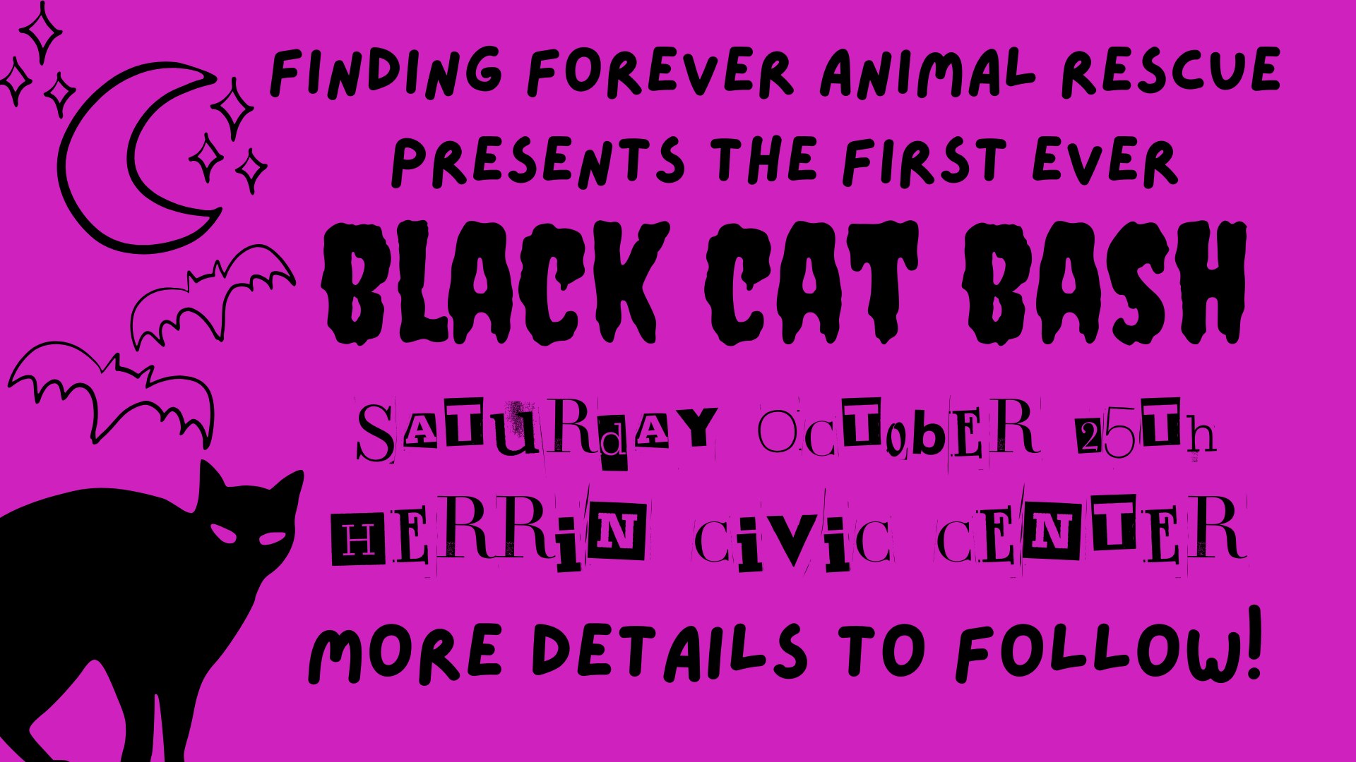 visit-black-cat-bash