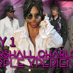 visit-the-purple-experience