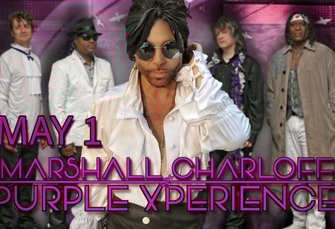 visit-the-purple-experience