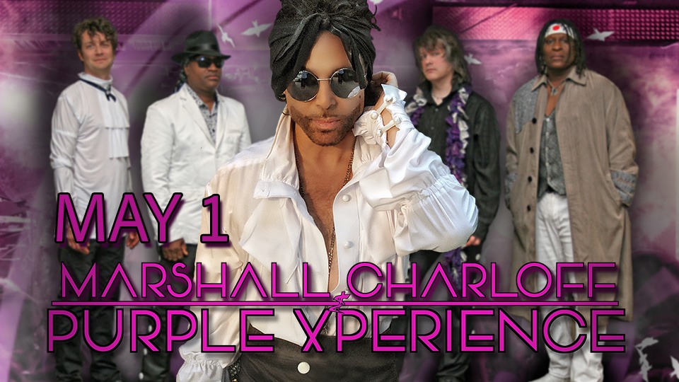 visit-the-purple-experience