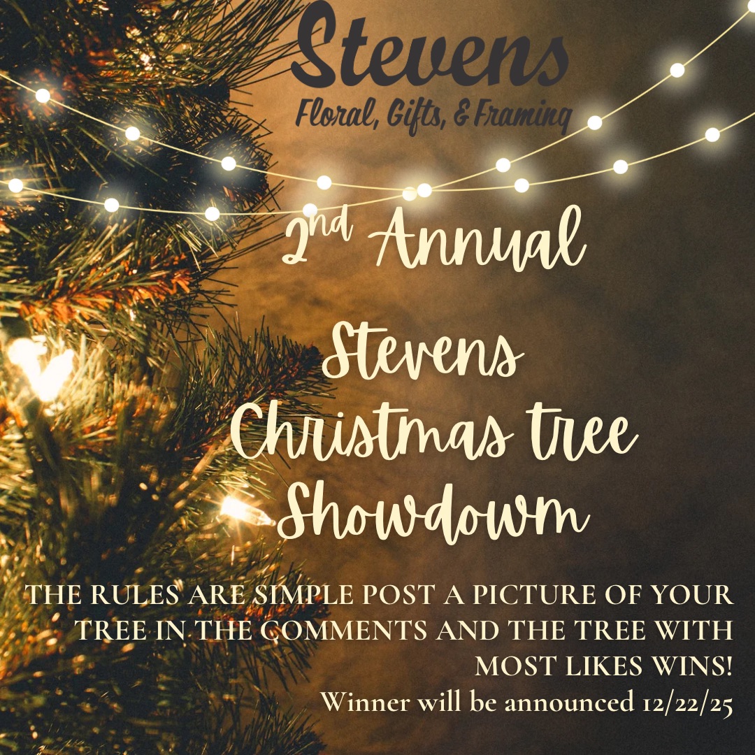 visit-christmas-tree-showdown