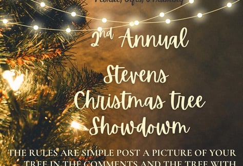 visit-christmas-tree-showdown