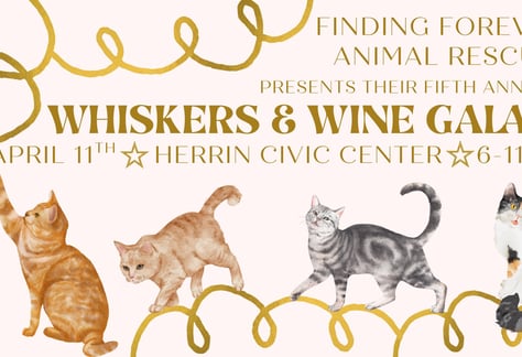 visit-whiskers-wine-gala