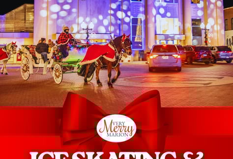 visit-Ice-Skating-and-Carriage-Rides
