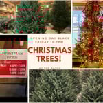 visit-the-patch-christmas-trees