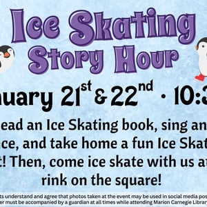 visit-ice-skating-hour