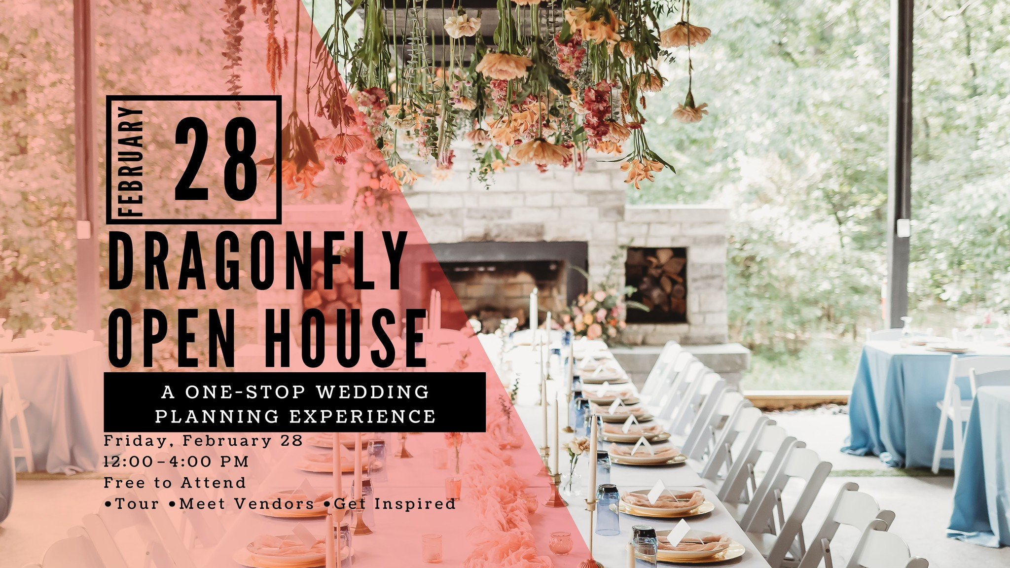 visit-dragonfly-openn-house