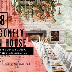 visit-dragonfly-openn-house