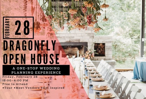 visit-dragonfly-openn-house