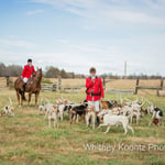 visit-spring-poker-run