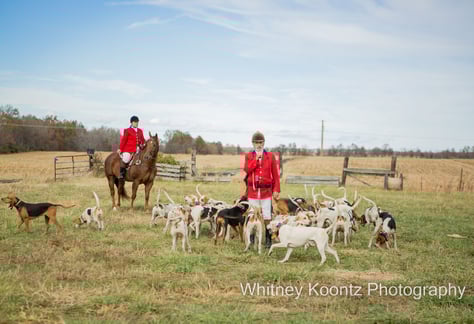 visit-spring-poker-run