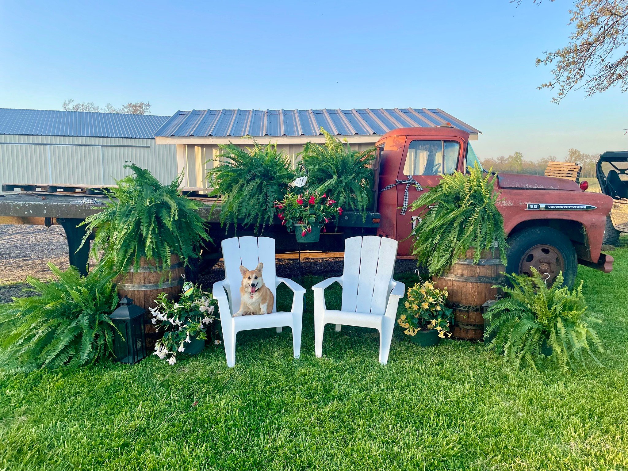 visit-vendor-and-fern-day-at-the-patch