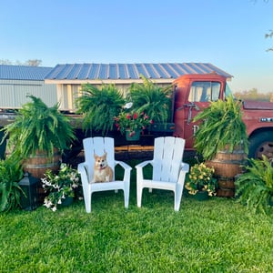 visit-vendor-and-fern-day-at-the-patch