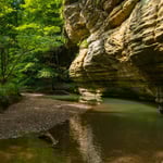 visit-100-women-who-care