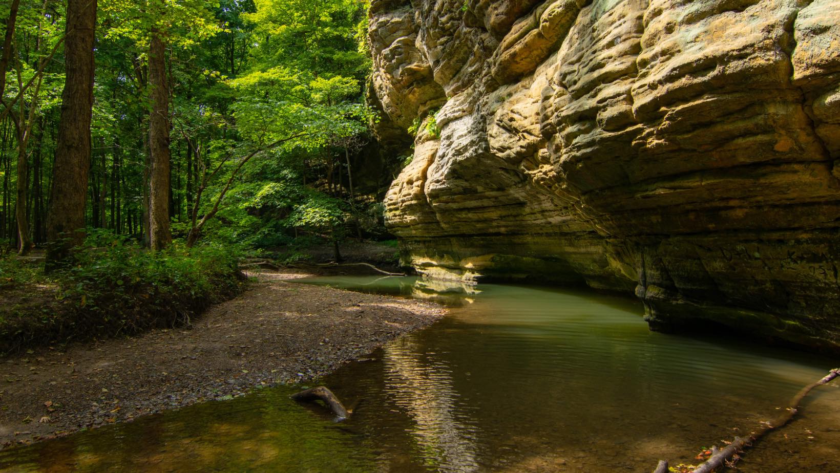 visit-100-women-who-care