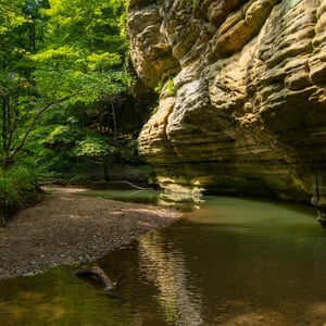 visit-100-women-who-care