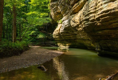 visit-100-women-who-care