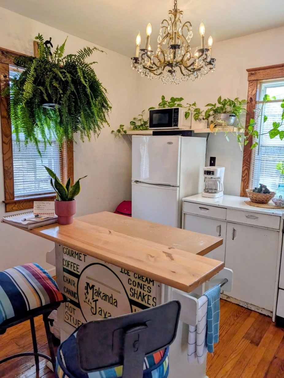 delightful-cabin-kitchen-carbondale-southern-illinois