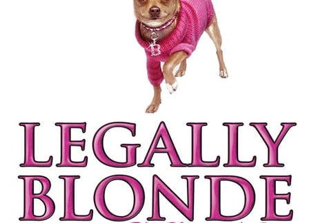 visit-mjhs-choir-presents-legally-blonde
