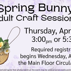 visit-spring-bunny-craft