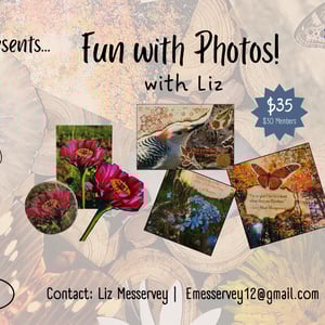 visit-Fun-with-photos