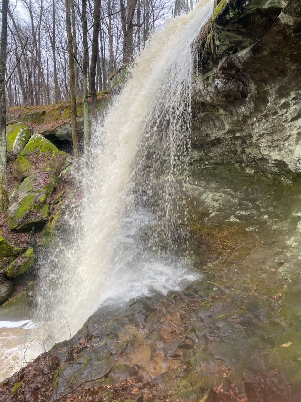 visit-rocky-bluff-waterfall
