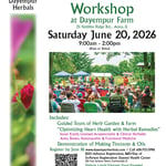Herbal-Medicine-Workshop-Anna-Illinois