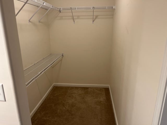 condos-kokopelli-closet-marion-southern-illinois
