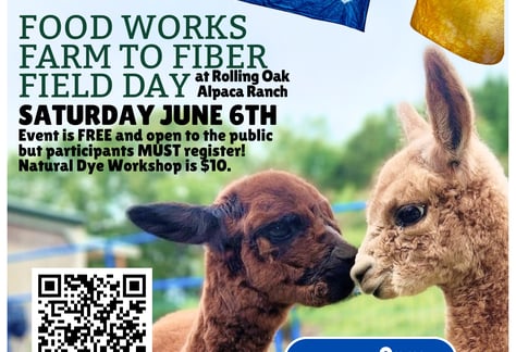 Farm-to-fiber-field-day