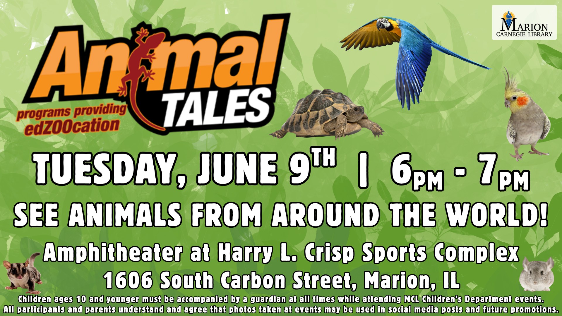 visit-animal-tales-marion-illinois