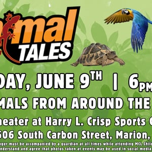 visit-animal-tales-marion-illinois